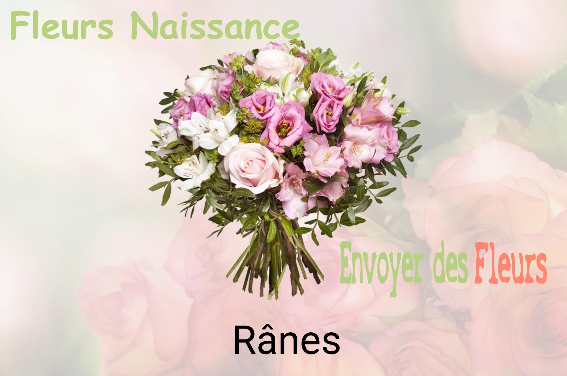 Bouquet de fleurs de naissance livré à Rânes